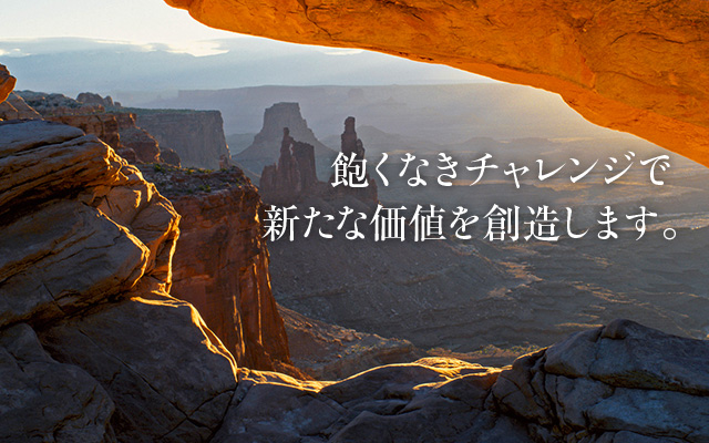 飽くなきチャレンジで新たな価値を創造します。